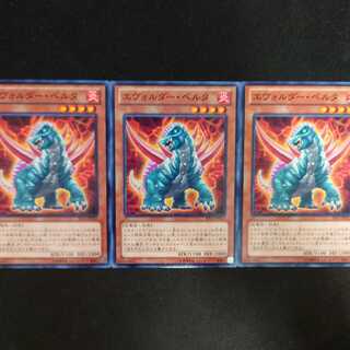 エヴォルダー・ペルタ N