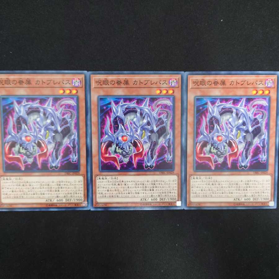 呪眼の眷属 カトブレパス N