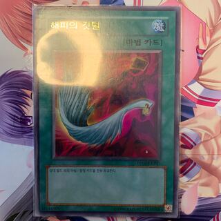 ハーピィの羽根帚 UR 韓国版