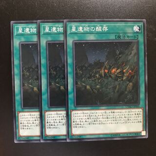 星遺物の醒存 N