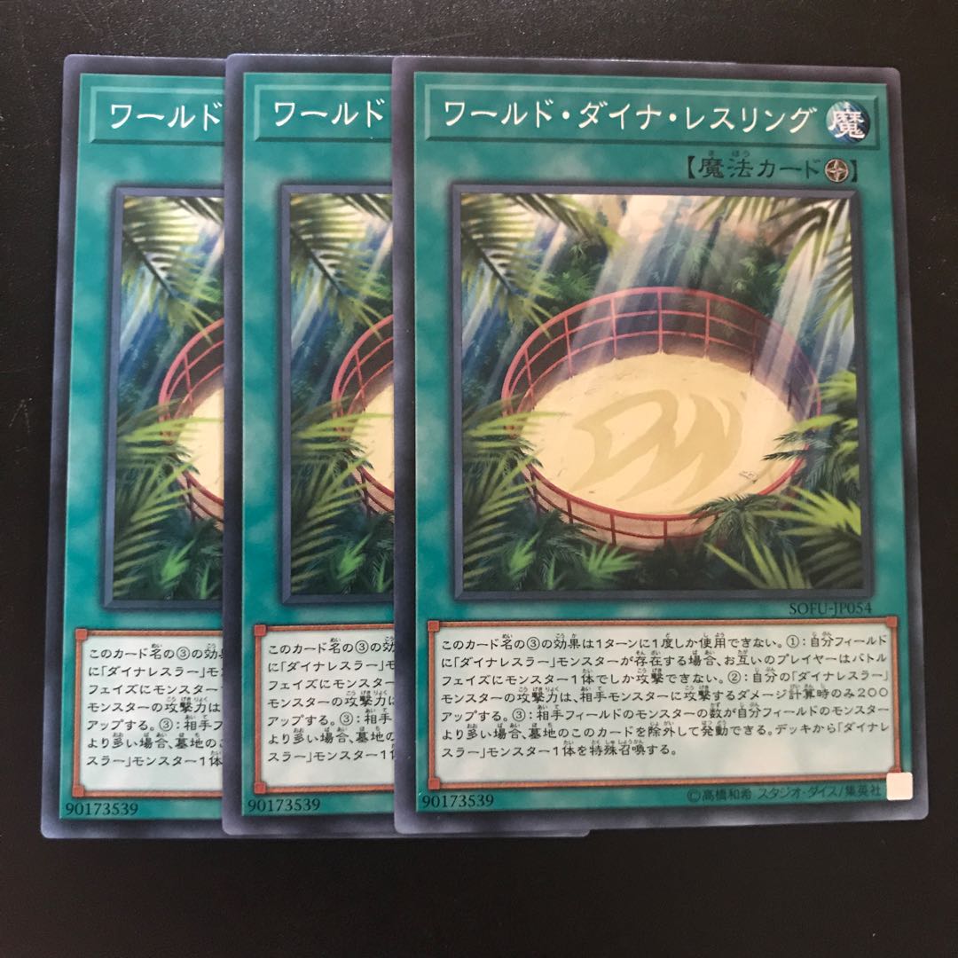 ワールド・ダイナ・レスリング N