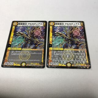 聖霊龍王 アルカディアスD 2枚