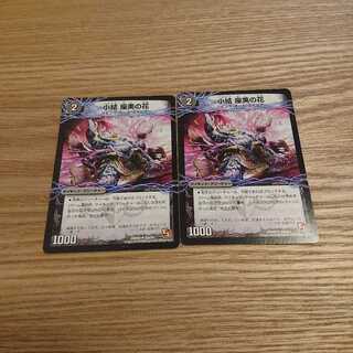 小結 座美の花｜雲龍 ディス・イズ・大横綱(下)