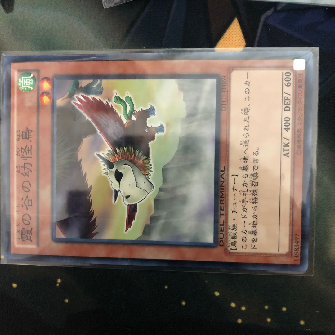 霧の谷の幼怪鳥 DTC