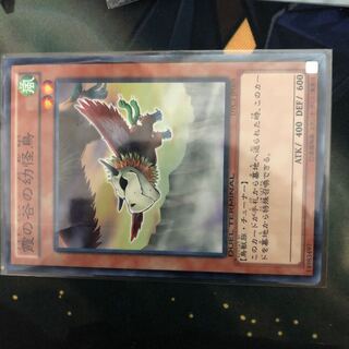 霧の谷の幼怪鳥 DTC