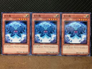 【ぽぽたん】遊戯王 10063 月光蝶 3枚 ノーマル
