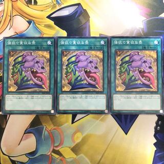 強欲で貪欲な壺 N 3枚