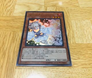 [遊戯王]灰流うらら(UR)×1