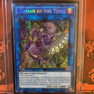 【ケースに入れ発送！】遊戯王 英語版 天威の龍仙女 シク