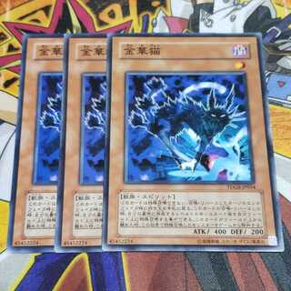 金華猫 N 遊戯王 虎ふぐ