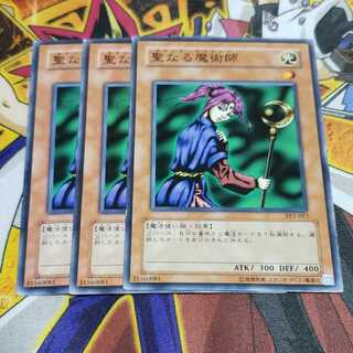 パン様専用 聖なる魔術師 N