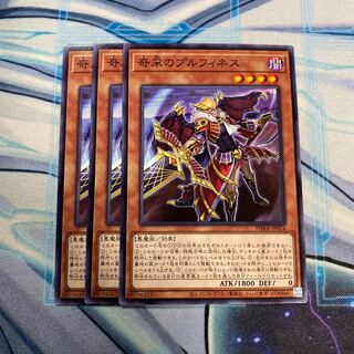 奇采のプルフィネス N