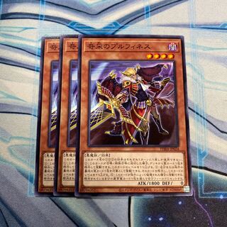 奇采のプルフィネス N