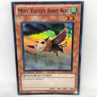 遊戯王 英語 霞の谷の幼怪鳥 HA02 スーパー スー