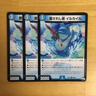 愛されし者イルカイル 3枚 3枚