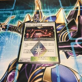 ワンダーラビリンス◇