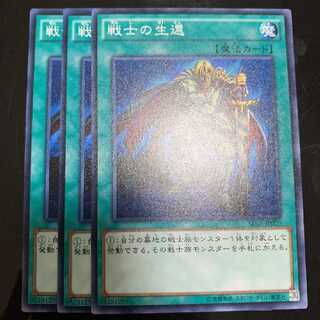 戦士の生還 1枚