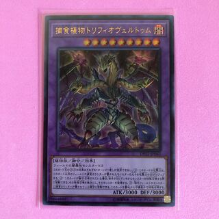遊戯王 捕食植物トリフィオヴェルトゥム 1枚 ウルトラ
