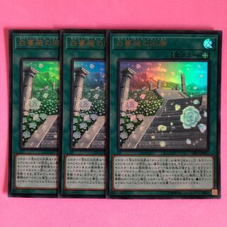 遊戯王 白薔薇の回廊 3枚 ウルトラ