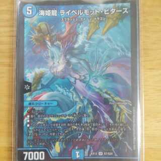 海姫龍 ライベルモット・ビターズ SR