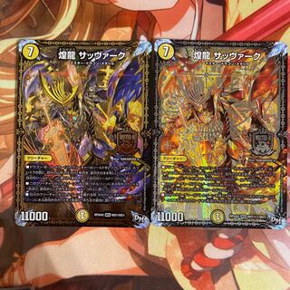 煌龍 サッヴァーク 2枚セット