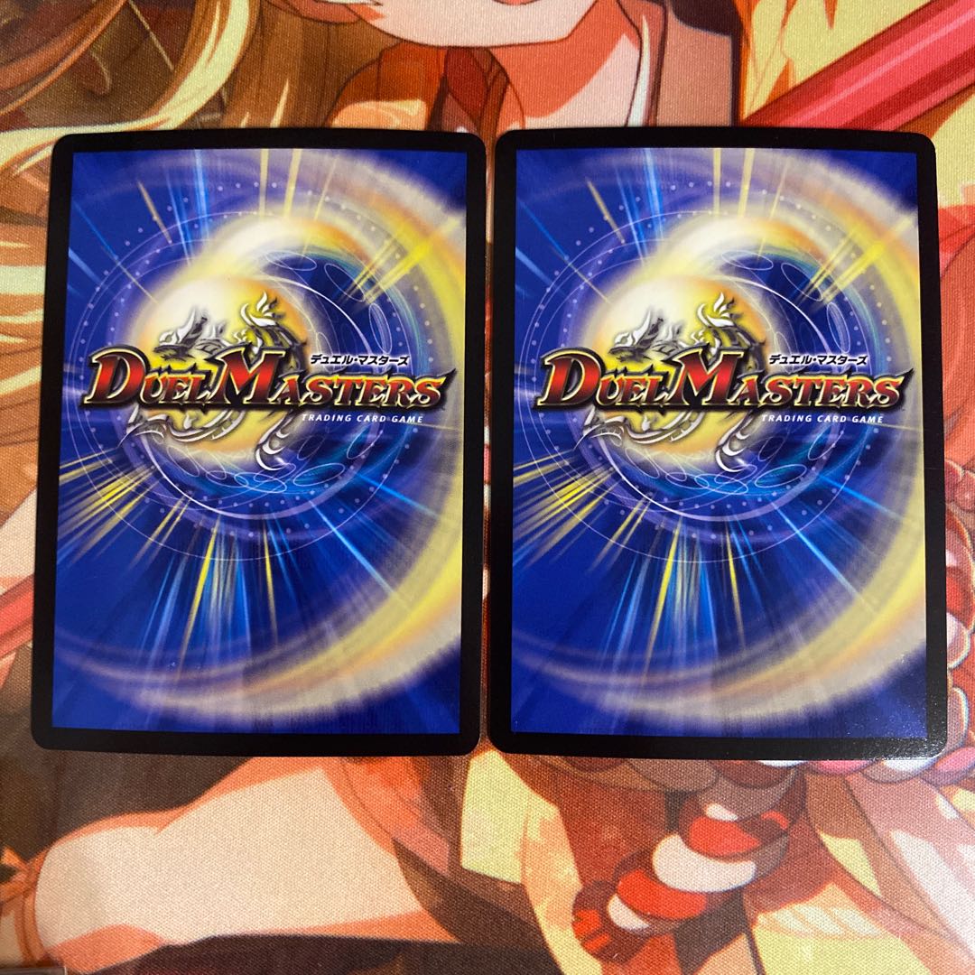 煌龍 サッヴァーク 2枚セット