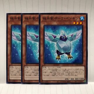 極氷獣ポーラ・ペンギン　N ノーマル　3枚　マホ子