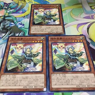 憑依装着-ライナ 3枚セット