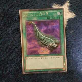 ハーピィの羽根帚　シク　シークレット　15AX