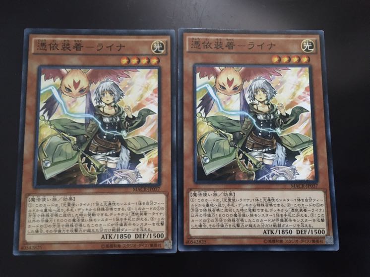 憑依装着-ライナ NR 2枚