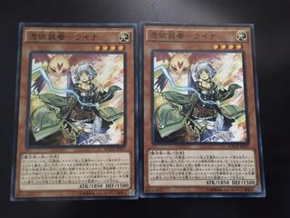 憑依装着-ライナ NR 2枚