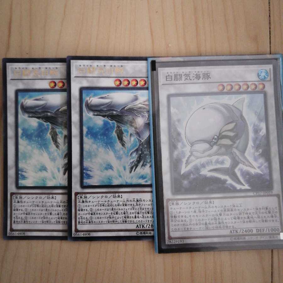 白闘気白鯨 白闘気海豚 ホワイト