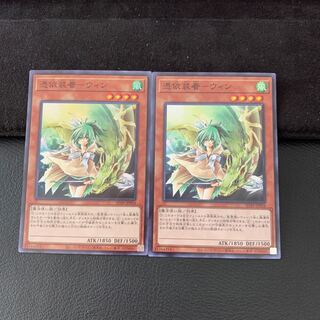 憑依装着-ウィン