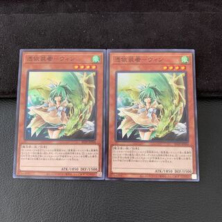 憑依装着-ウィン