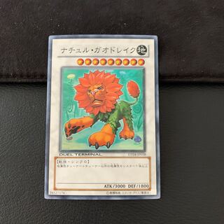 ナチュル・ガオドレイク SR