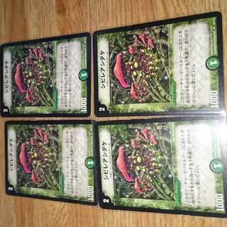 シビレアシダケ 初期