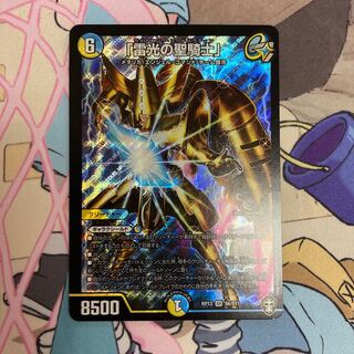 「雷光の聖騎士」