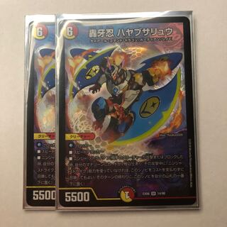 ハヤブサリュウ 2枚