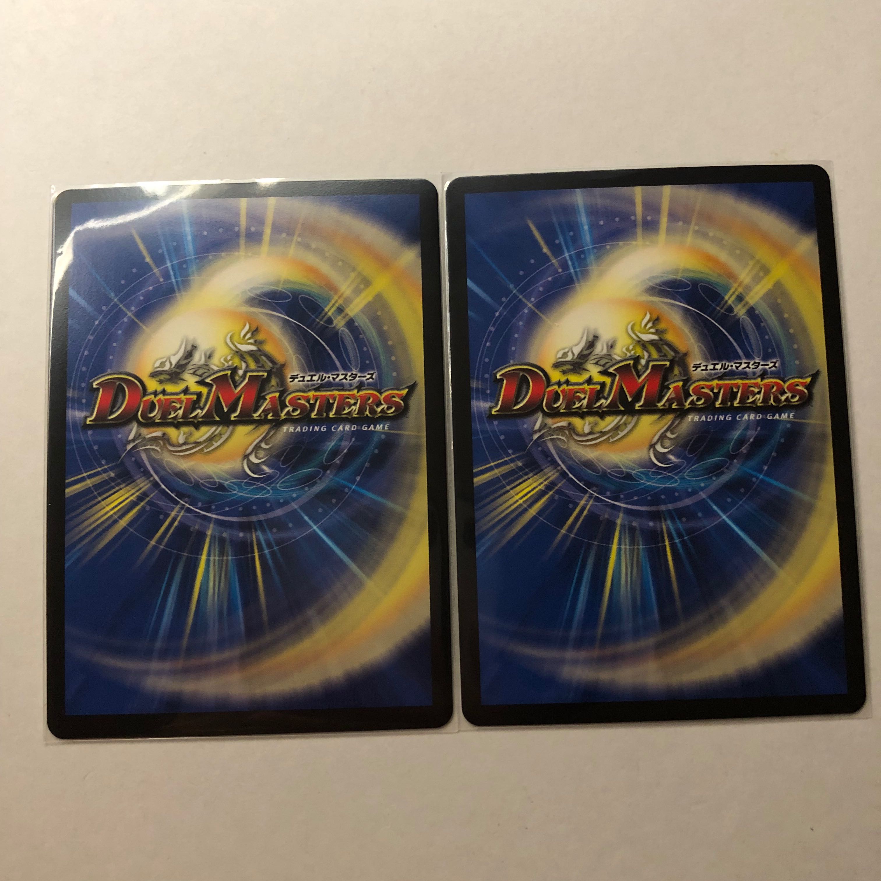 ハヤブサリュウ 2枚