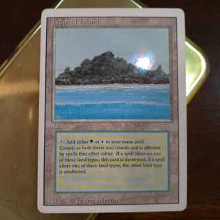 MTG tropical island ①