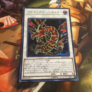 アルティマヤ・ツィオルキン SE