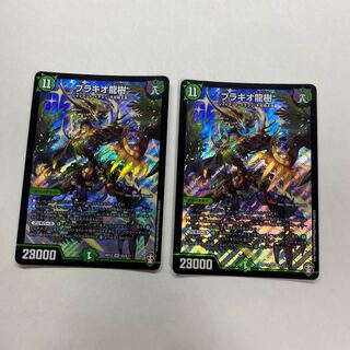 ブラキオ龍樹　2枚