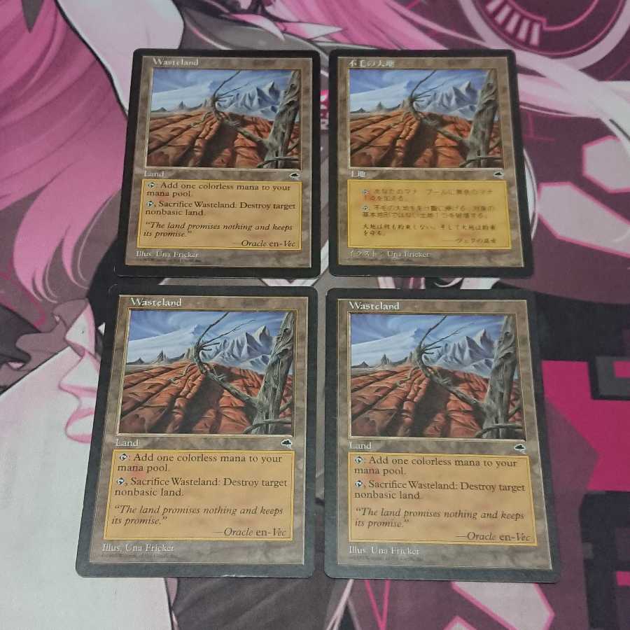 不毛の大地 4枚