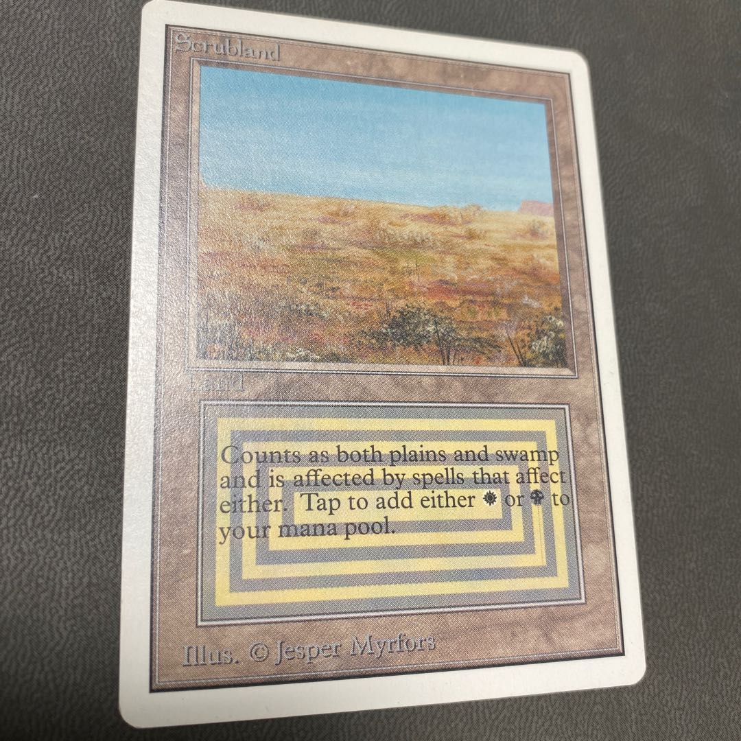 URANUS様専用 savannah scrubland 2ED