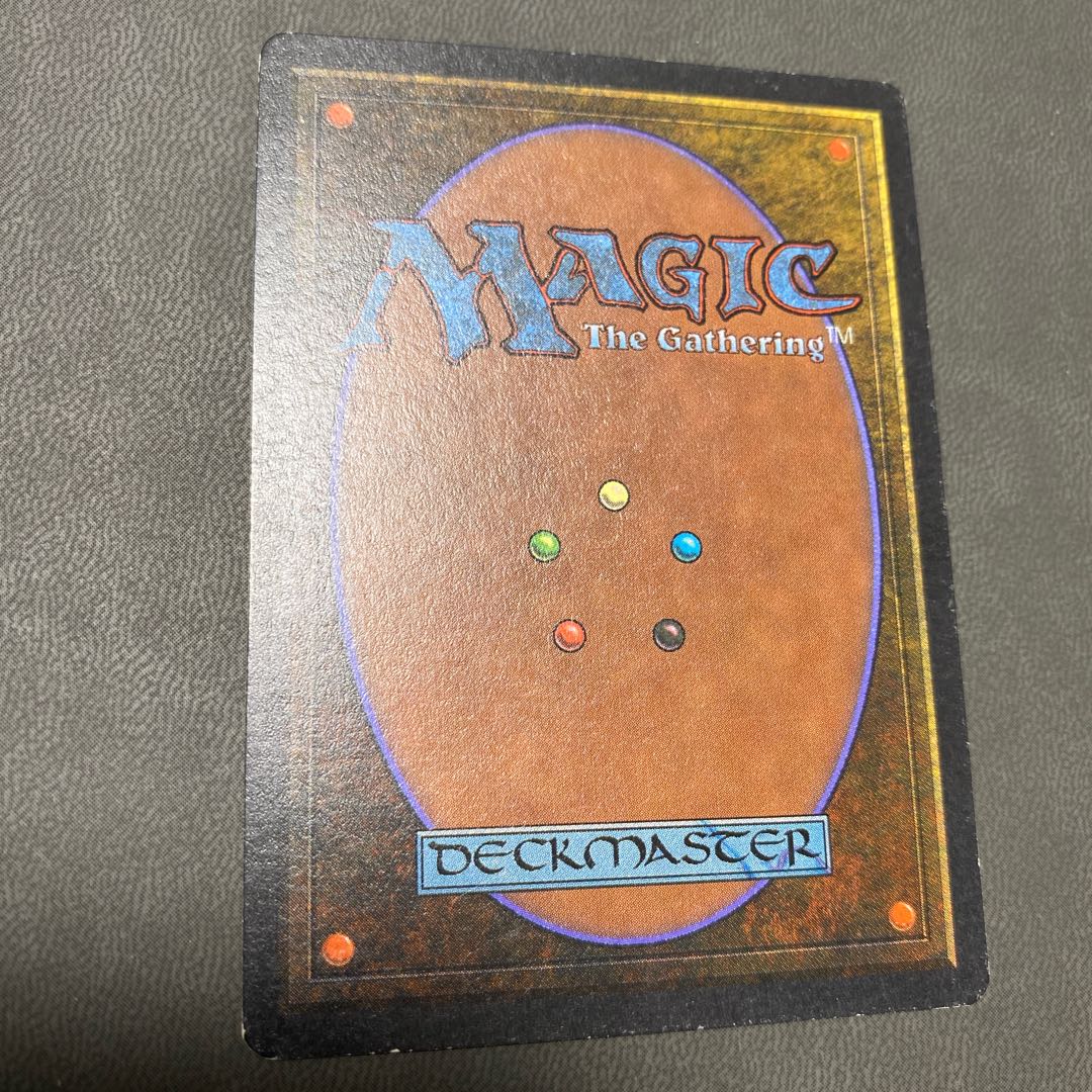 URANUS様専用 savannah scrubland 2ED