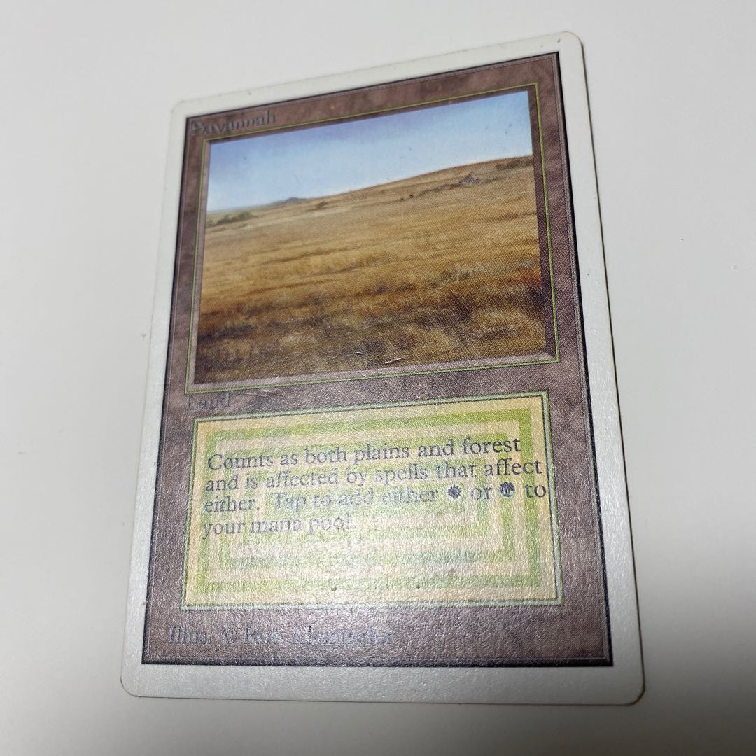 URANUS様専用 savannah scrubland 2ED