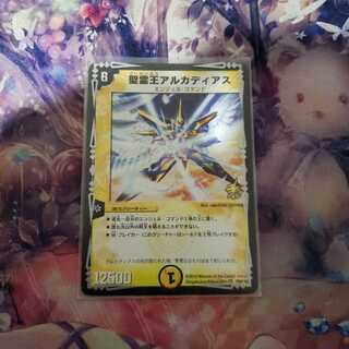 さかい様専用 聖霊王アルカディアス