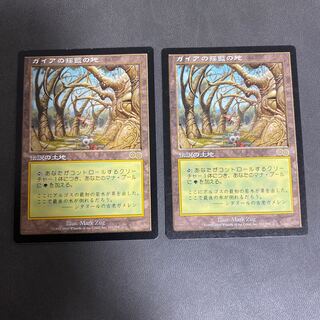 ガイアの揺籃の地　日本語版2枚セット