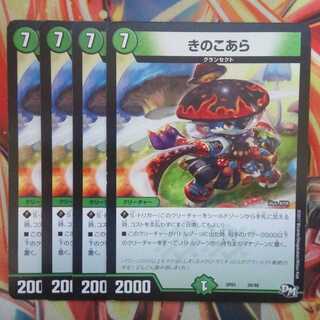 きのこあら 四枚セット