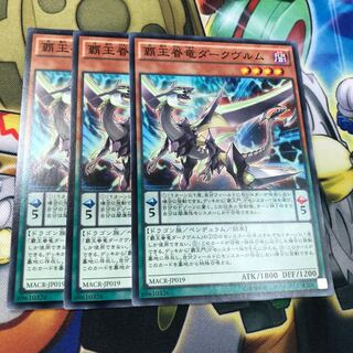 覇王眷竜ダークヴルム　3枚